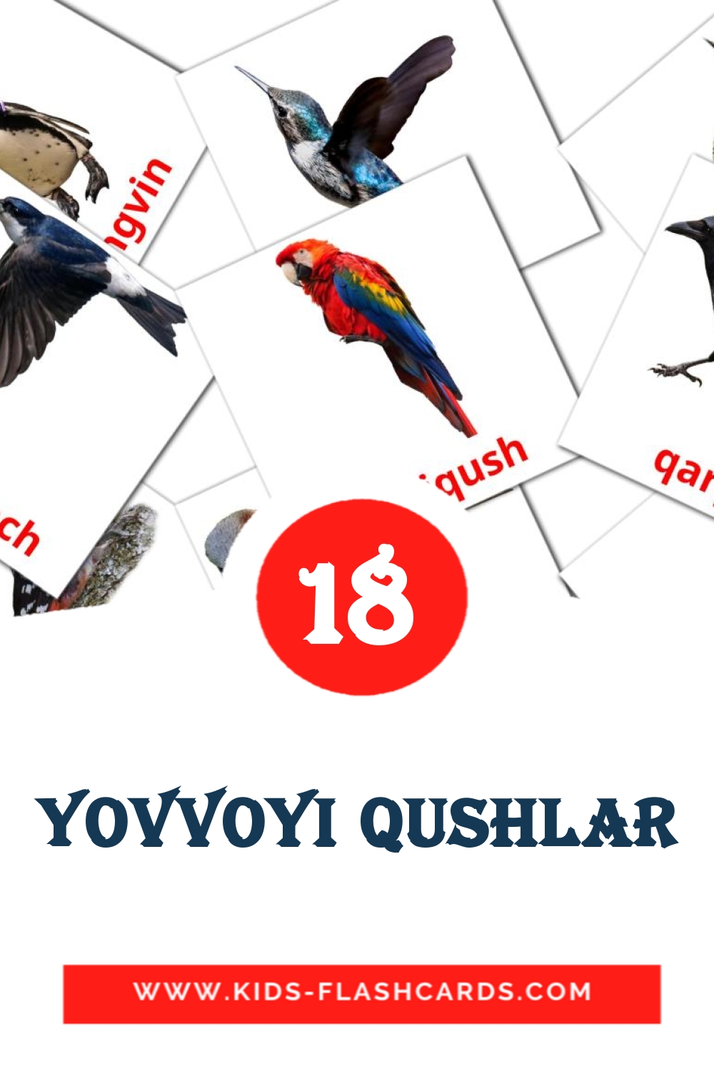 18 cartes illustrées de Yovvoyi qushlar pour la maternelle en ouzbek