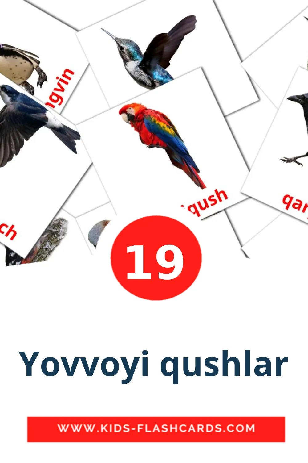 19 carte illustrate di Yovvoyi qushlar per la scuola materna in uzbek