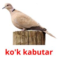 ko'k kabutar card for translate