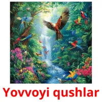 Yovvoyi qushlar flashcards illustrate