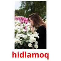 hidlamoq picture flashcards