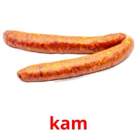 kam Bildkarteikarten