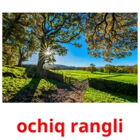 ochiq rangli Bildkarteikarten