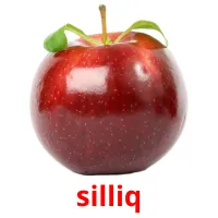 silliq Bildkarteikarten