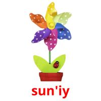 sun'iy picture flashcards