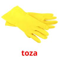 toza picture flashcards