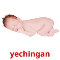 yechingan picture flashcards