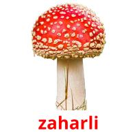 zaharli card for translate
