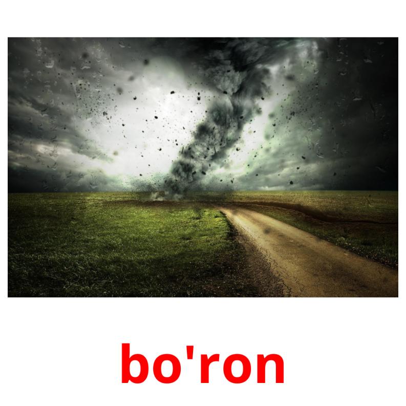 bo'ron picture flashcards