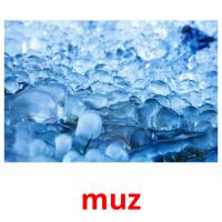muz card for translate