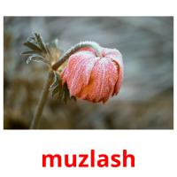 muzlash карточки энциклопедических знаний