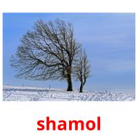 shamol card for translate
