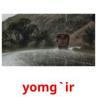 yomg`ir picture flashcards