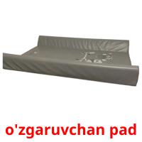 o'zgaruvchan pad карточки энциклопедических знаний