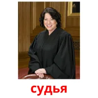 судья picture flashcards