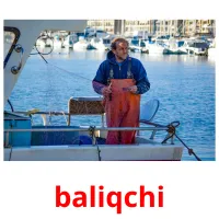 baliqchi Bildkarten f�r Kinder