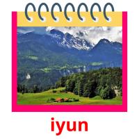 iyun picture flashcards