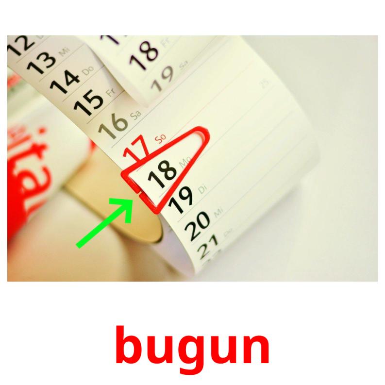 bugun picture flashcards