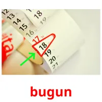 bugun picture flashcards