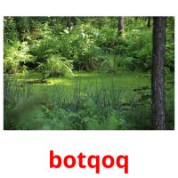 botqoq picture flashcards
