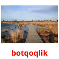 botqoqlik card for translate