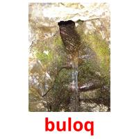 buloq карточки энциклопедических знаний