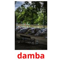 damba picture flashcards
