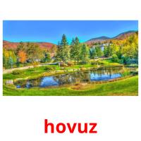 hovuz picture flashcards
