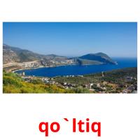 qo`ltiq card for translate