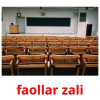 faollar zali picture flashcards