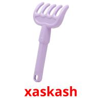 xaskash picture flashcards
