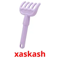 xaskash picture flashcards