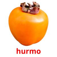 hurmo picture flashcards