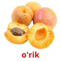 o'rik picture flashcards