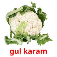 gul karam card for translate