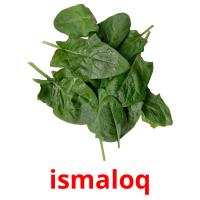 ismaloq picture flashcards