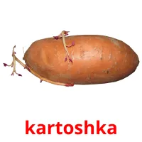 kartoshka Tarjetas didacticas