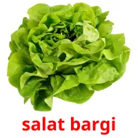 salat bargi Tarjetas didacticas