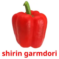 shirin garmdori Tarjetas didacticas