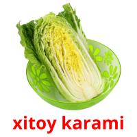 xitoy karami flashcards illustrate