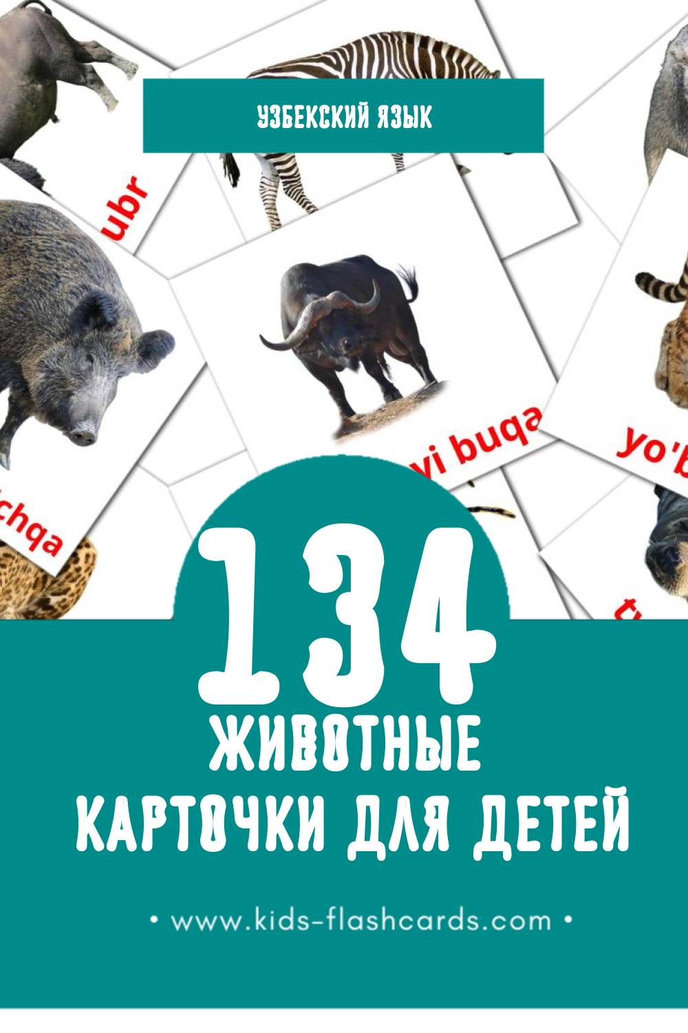 "Hayvonlar" - Визуальный Узбекском Словарь для Малышей (134 картинок)