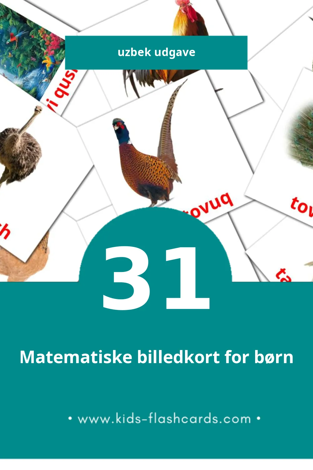 Visuelle billedkort for børn om Qushlar til småbørn (31 kort på Uzbek)