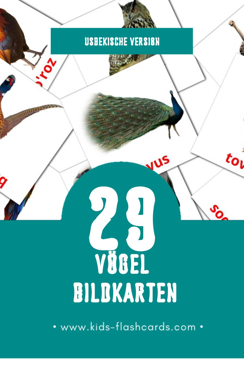 Visual Qushlar Flashcards für Kleinkinder (29 Karten in Usbekisch)