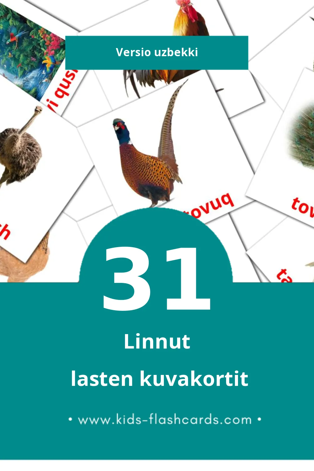 Qushlar lasten kuvakortit pikkulapsille (31 korttia Uzbekkiksi)