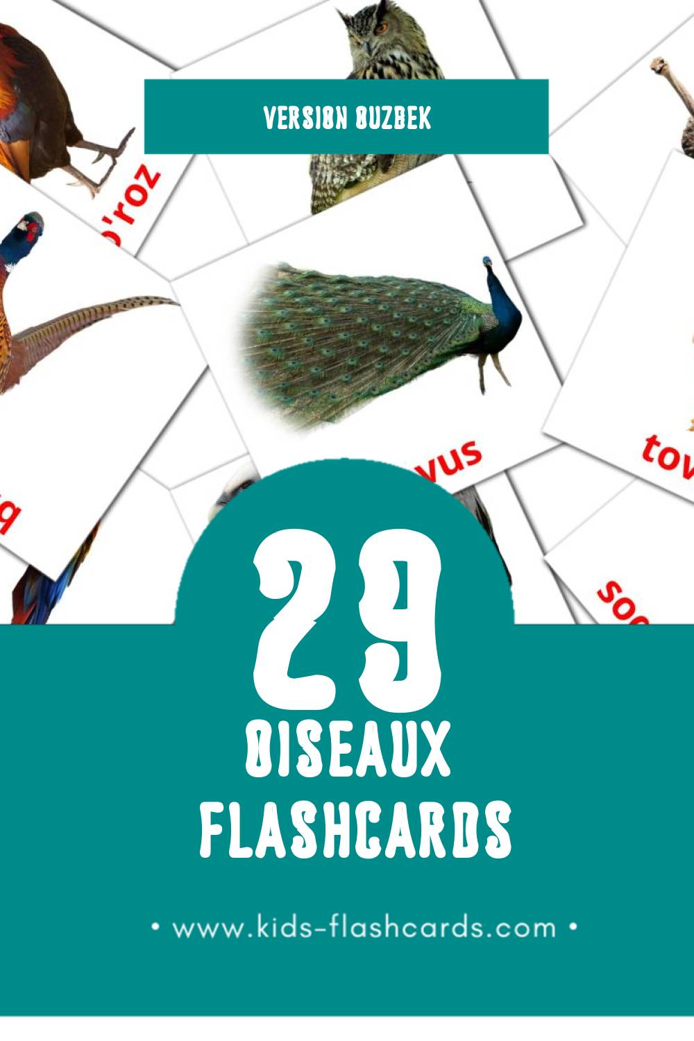 Flashcards Visual Qushlar pour les tout-petits (29 cartes en Ouzbek)