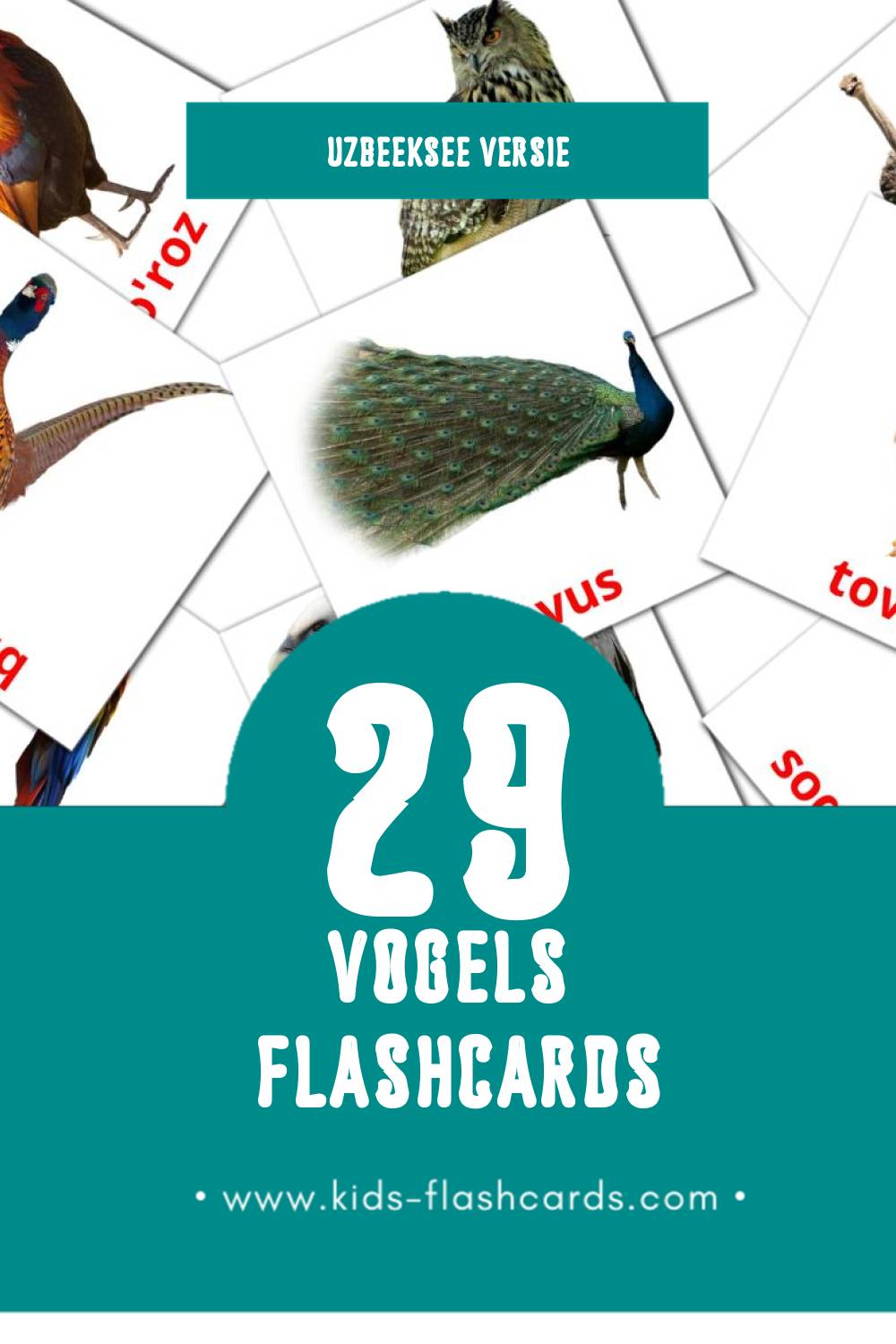 Visuele Qushlar Flashcards voor Kleuters (29 kaarten in het Uzbeekse)