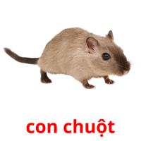 con chuột picture flashcards