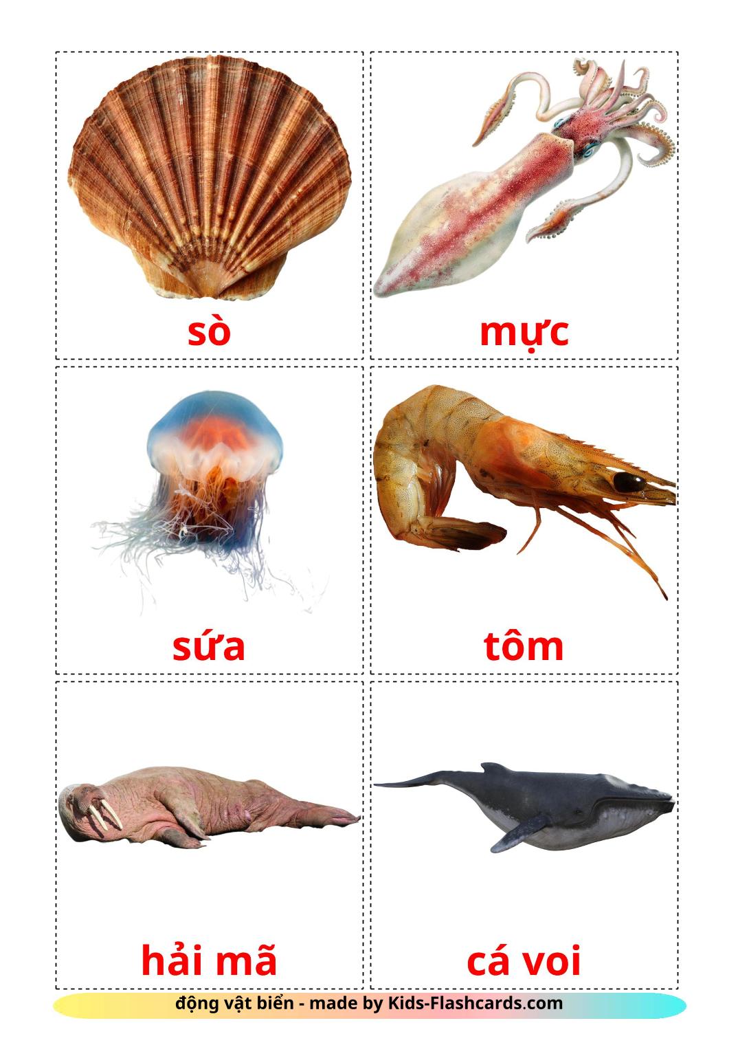 Sea animals - 29 Free Printable vietnamese Flashcards 
