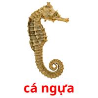 cá ngựa picture flashcards