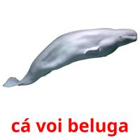 cá voi beluga card for translate